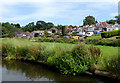 Canalside pasture near Castlecroft in Wolverhampton