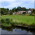 Canalside pasture at Castlecroft in Wolverhampton