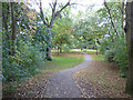 Path in Sandbach Park