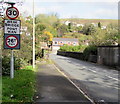 Weak bridge/Pont wan, Station Road, Dinas