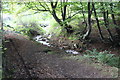 Nant yr Helyg, Pont Gwaithyrhaern