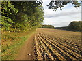 Chess Valley Walk beside Tooley