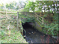 Arclid Brook below the Sandbach bypass