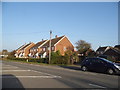 Houses on High Road, Cotton End