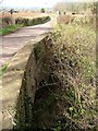 Canal bridge, Thornfalcon