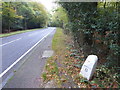 Milestone on Epping Road