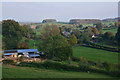 Sedgemoor : Countryside Scenery