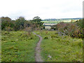 TR3646 : Path, Barrow Mount by Robin Webster