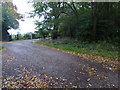 Leading to footpath to Thornwood Common