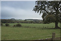 Fields near Jervaulx