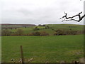 Looking from Bowls Lane, across pasture to Graig-wen