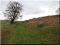 Bowls Lane continues as a green lane across Eglwysilan Common