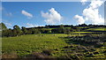 Field Opposite Talgarth Manor