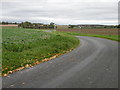 The road to Nosterfield End