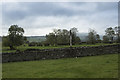 Fields and dry stone walls