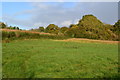 Field beside Stockbridge Road near Timsbury