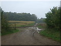 Muddy track near Leicester Square Farm