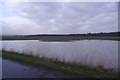 Flooded field