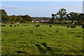 View toward Green Pastures Farm