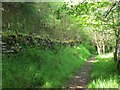 Footpath down to Corwen