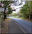 GIVE WAY 50 yds/ILDIWCH 50 llath, Dinas Road, Penygraig