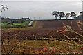 Newly ploughed field at Dubheads