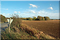 Harvested Fields Near Stoke Orchard