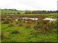 Wetlands beside Corra Lane