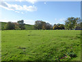 Grassland north of King George VI Reservoir