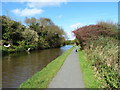 Canal towpath northeast of Lynstone