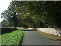 Bend in the minor road towards New Holkham