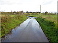 Flooding along Lough Road