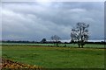 Fields at Parkside of Craig