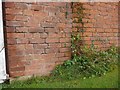 Historic Flood Marks on Ferry Lane Farm