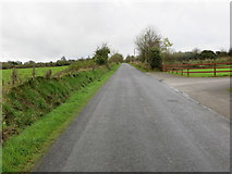 R7724 : Road (L1577) from Spittle (Ballylanders) to the R513 and Glennahaglish by Peter Wood