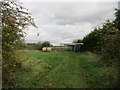 Improvised stabling near Skelton House Farm