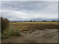 Stubble field near Mill Farm