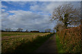 East Devon : Track