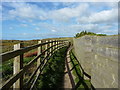 Coastal Path behind houses in Upton