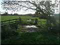 Footbridge on the path to Woodford Hall