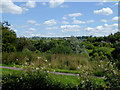 Across the Trent Valley near Stoke-on-Trent