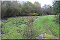 Rhymney River and levee, Dyffryn Business Park