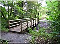 Footbridge in Spennells Valley Nature Reserve, Kidderminster