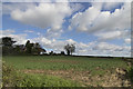 SK2537 : Fresh crops in fields off Long Lane by Malcolm Neal