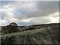 View of Moorside from the old drove path