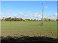 Ashwell End: a pole and a pink house