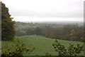 View towards Bonets Wood