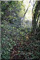 Ditch beside Banbury Road (A361)