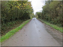 R7814 : Road (L5633) between Boolakelly and Killaclug East by Peter Wood