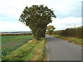 Dunnings Lane, near West Horndon